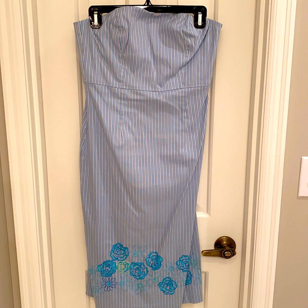 Express Strapless Spring Floral/Stripe Dress